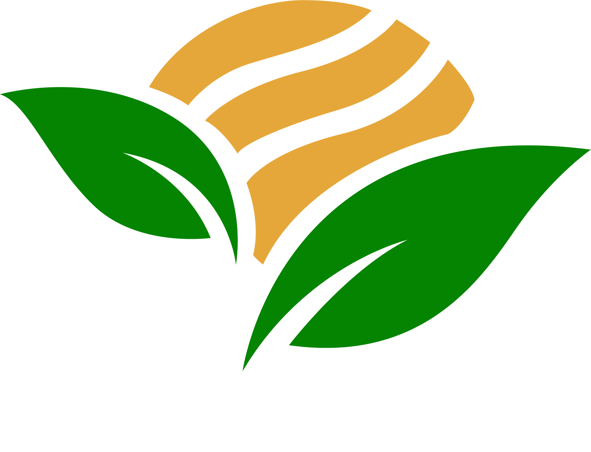 Logo - MJ Agro Group